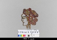 藏品(中國湖北皮影戲偶頭-生)的圖片